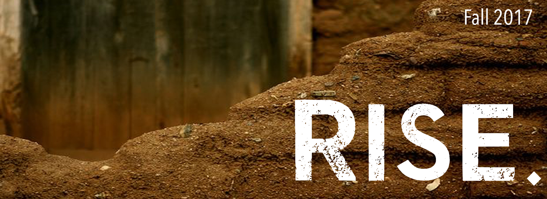 Rise Series Graphic JPG