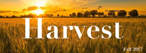 Harvest Series Graphic JPG